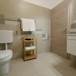Olive Apartment