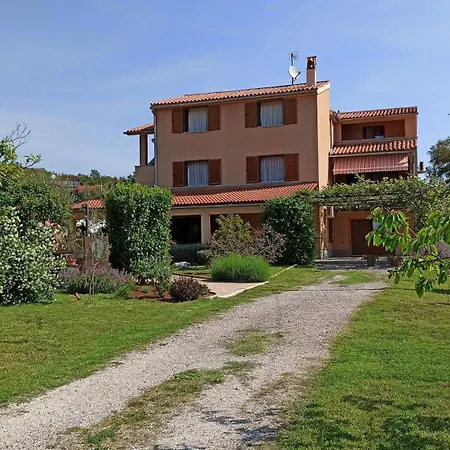 Olive Apartment