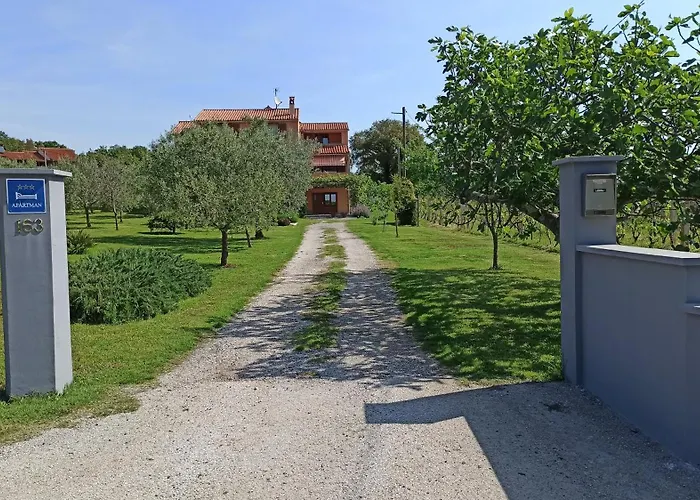 Διαμέρισμα Olive