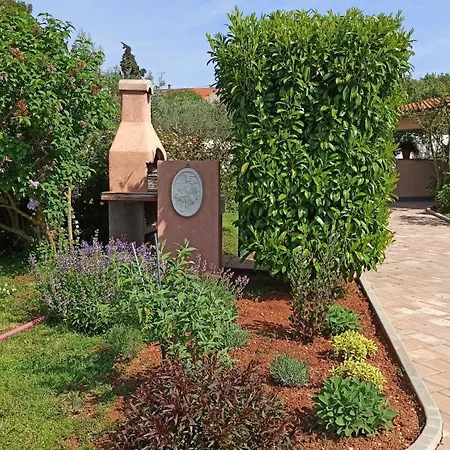Apartament Olive
