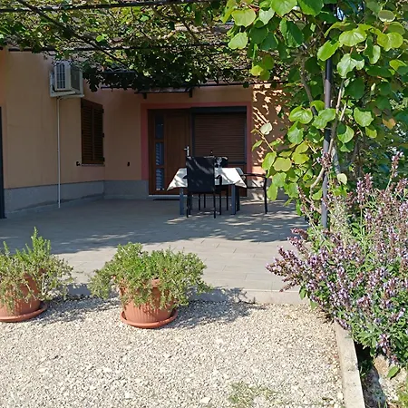 Appartement Olive Pula